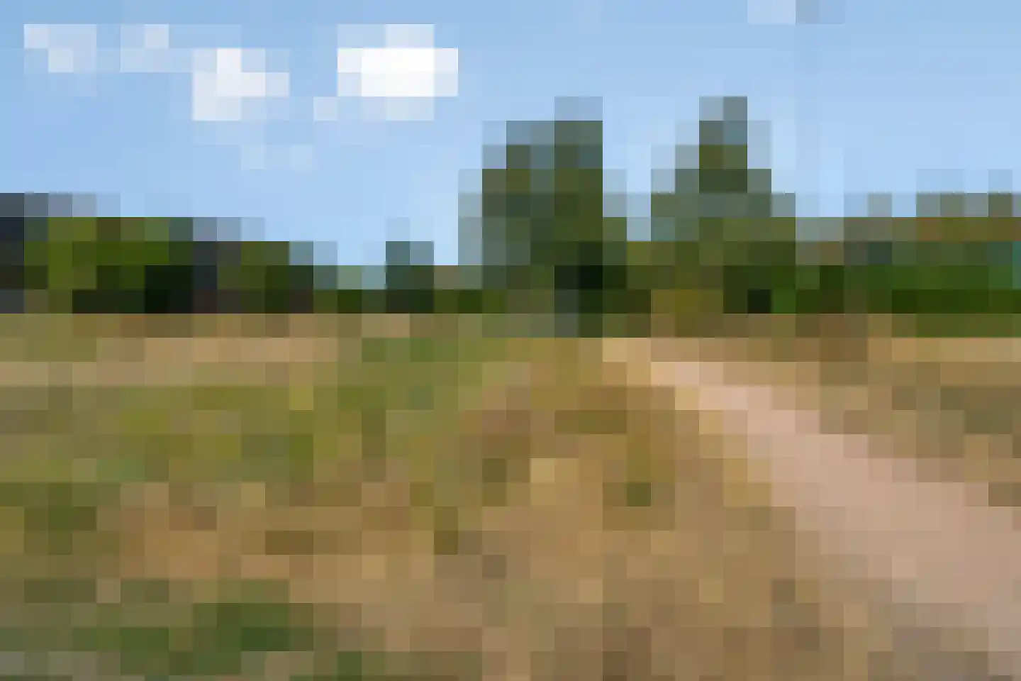 Waterfront 47 Eindhoven thumbnail 30