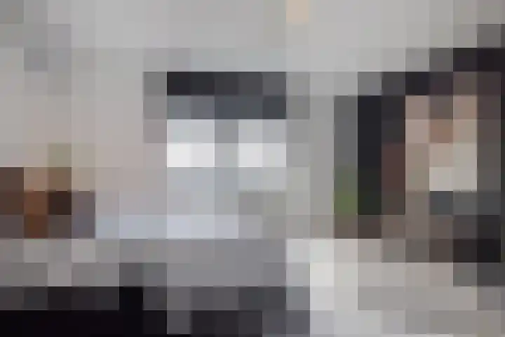 Waterfront 473 Eindhoven thumbnail 29