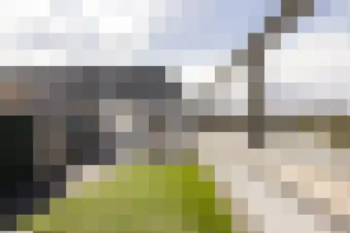Waterfront 473 Eindhoven thumbnail 5