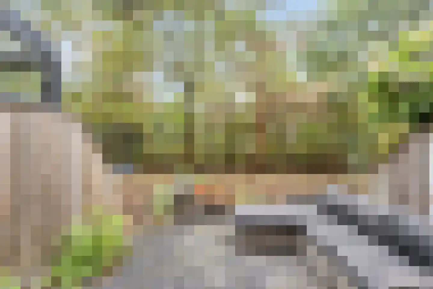 Waterfront 57 Eindhoven thumbnail 44