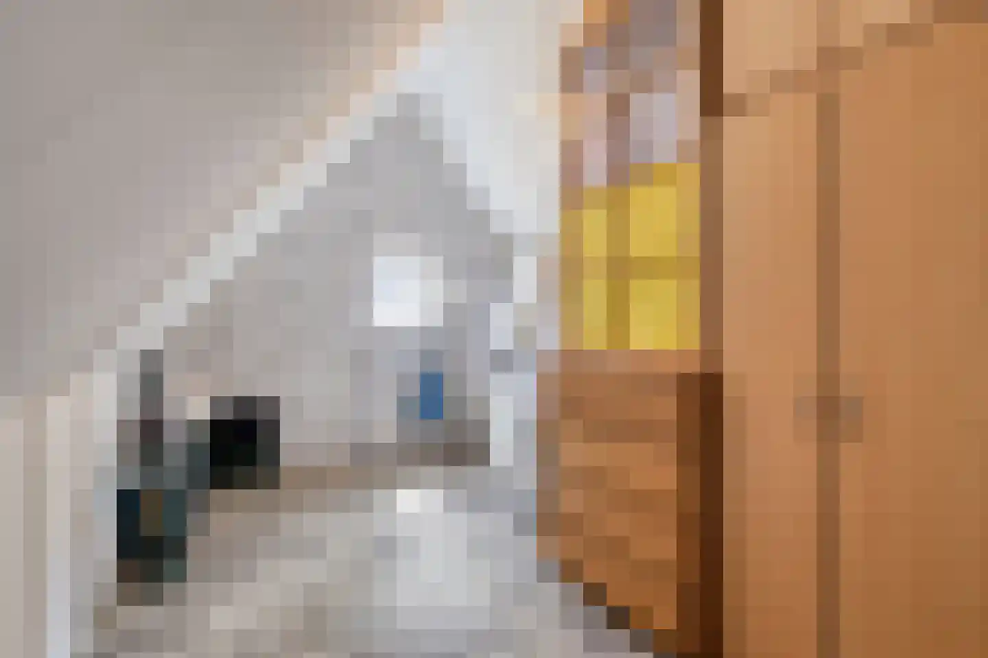 Watergang 1 Spaarndam thumbnail 38