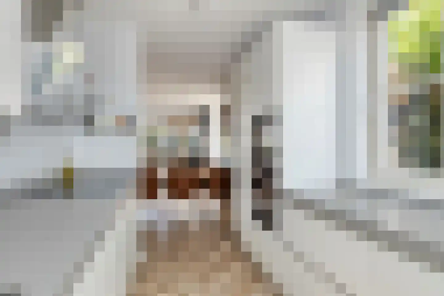 Watergang 1 Spaarndam thumbnail 6