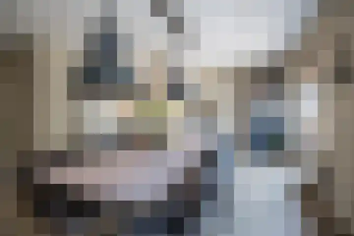 Watergang 12 Wierden thumbnail 13