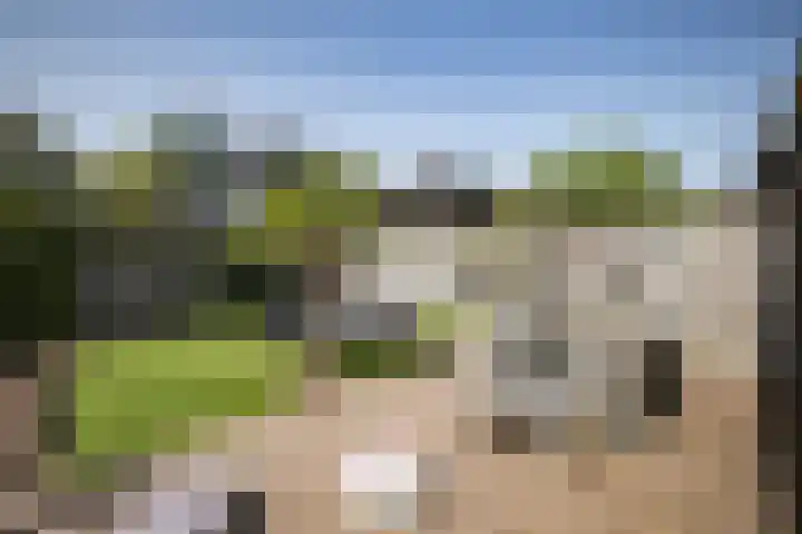 Watergang 12 Wierden thumbnail 31