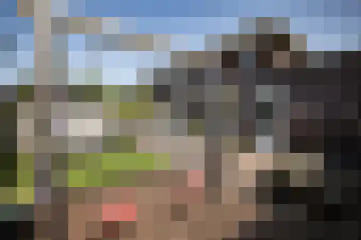 Watergang 12 Wierden thumbnail 32