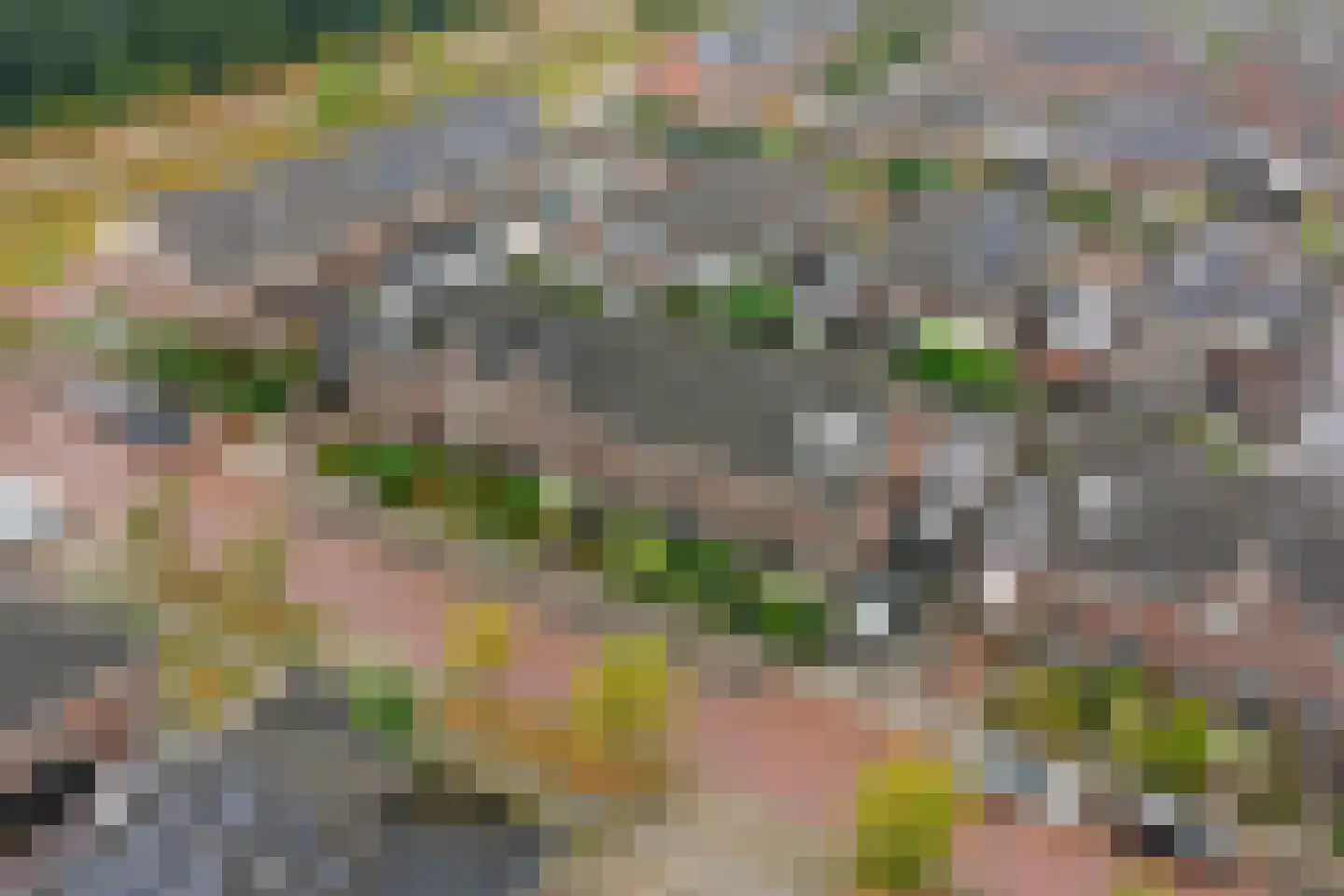 Watergang 7 Wierden thumbnail 34