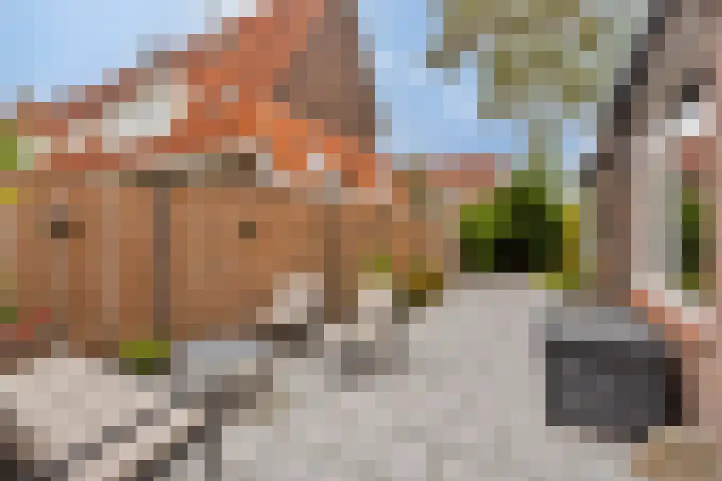 Watergangseweg 25 Amsterdam thumbnail 4