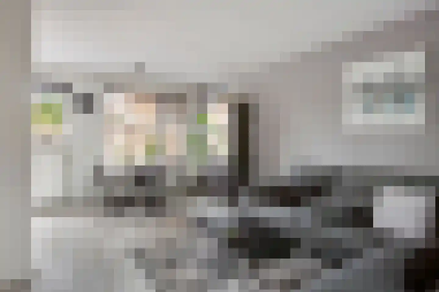 Watergangseweg 25 Amsterdam thumbnail 6