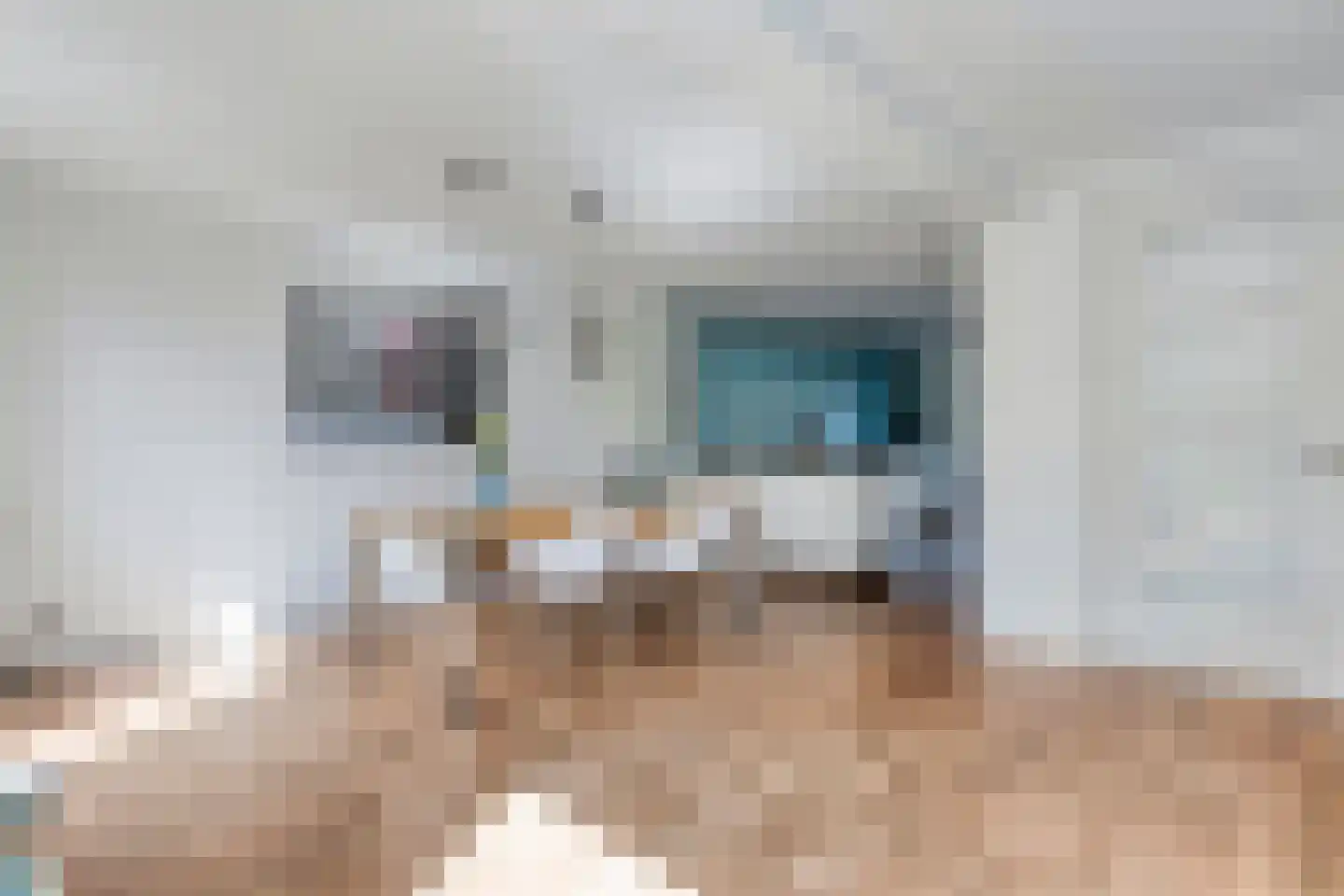 Watergentiaan 16 Amersfoort thumbnail 16