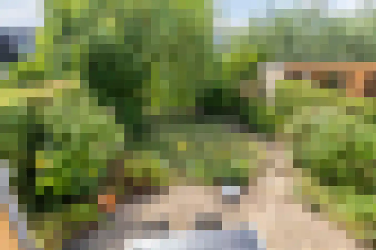Watergentiaan 16 Amersfoort thumbnail 42