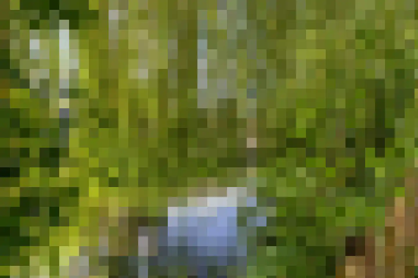 Watergentiaan 16 Amersfoort thumbnail 43