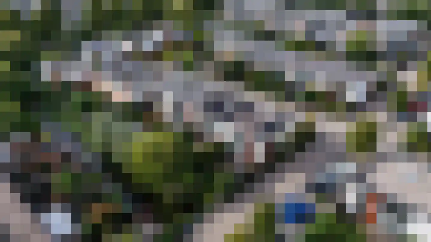 Watergentiaan 16 Amersfoort thumbnail 47