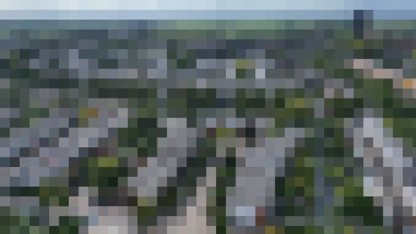 Watergentiaan 16 Amersfoort thumbnail 48
