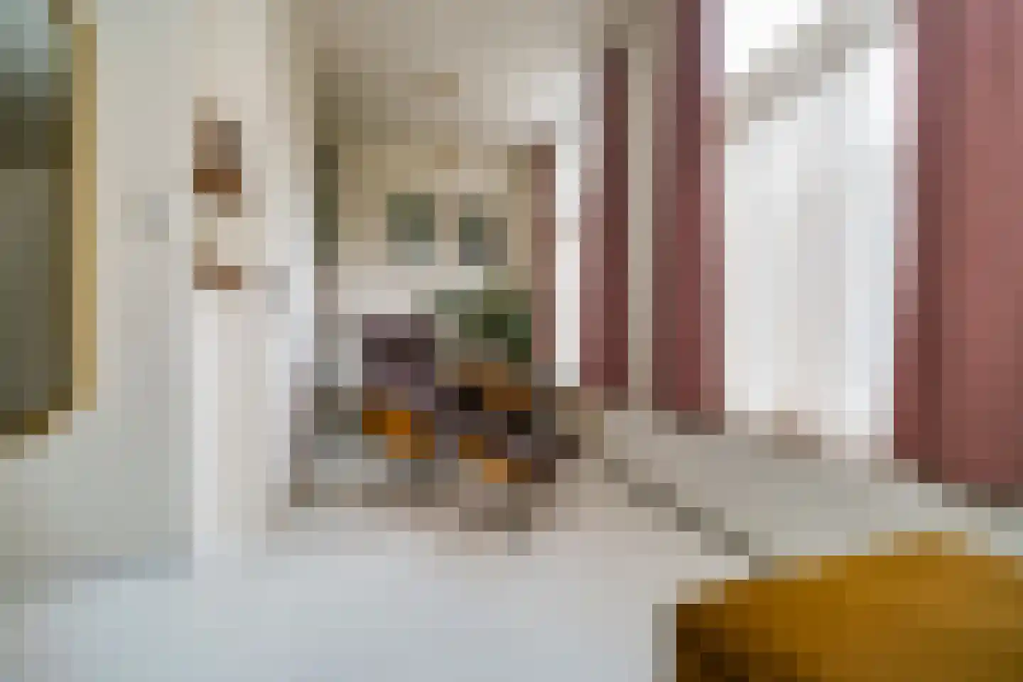 Watergeusstraat 4 B 01 Rotterdam thumbnail 10