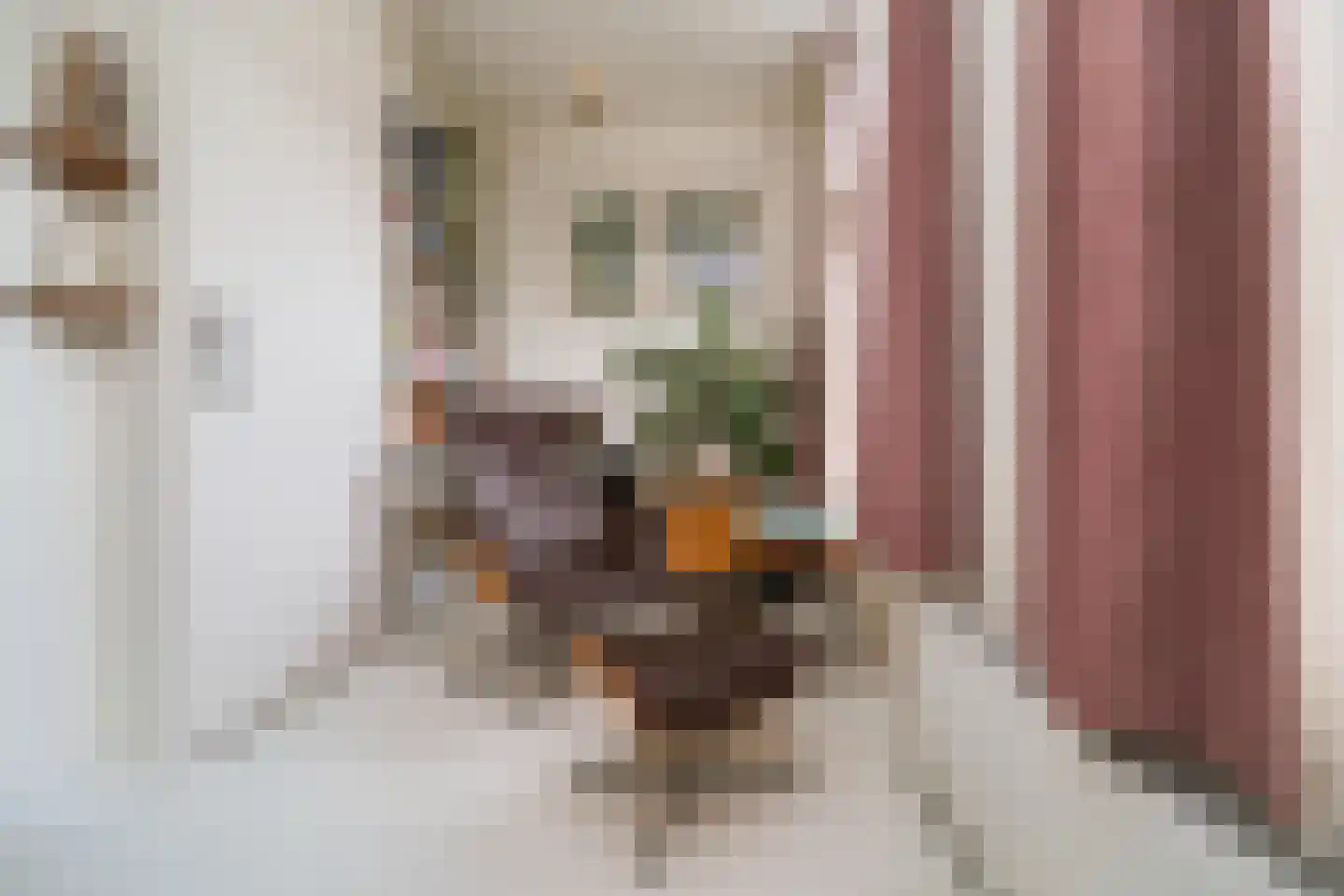 Watergeusstraat 4 B 01 Rotterdam thumbnail 11
