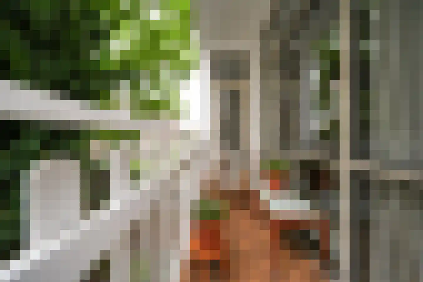 Watergeusstraat 4 B 01 Rotterdam thumbnail 12
