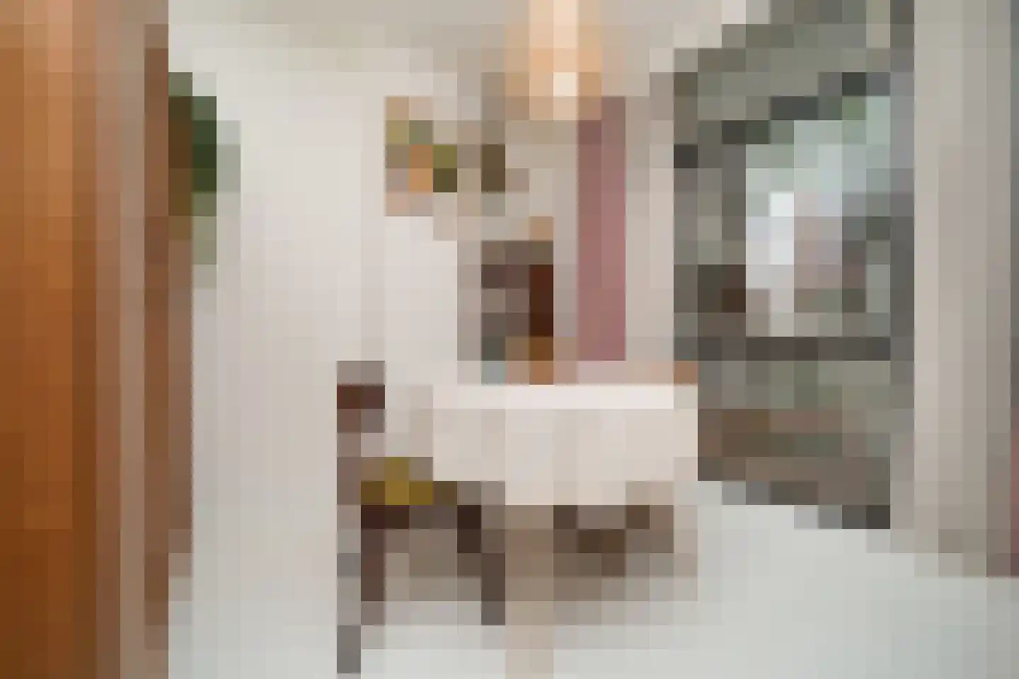 Watergeusstraat 4 B 01 Rotterdam thumbnail 17