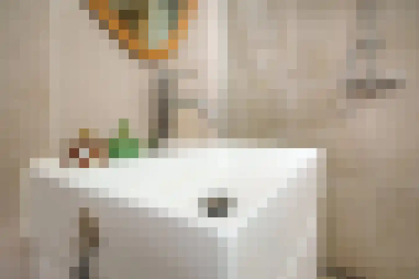 Watergeusstraat 4 B 01 Rotterdam thumbnail 21