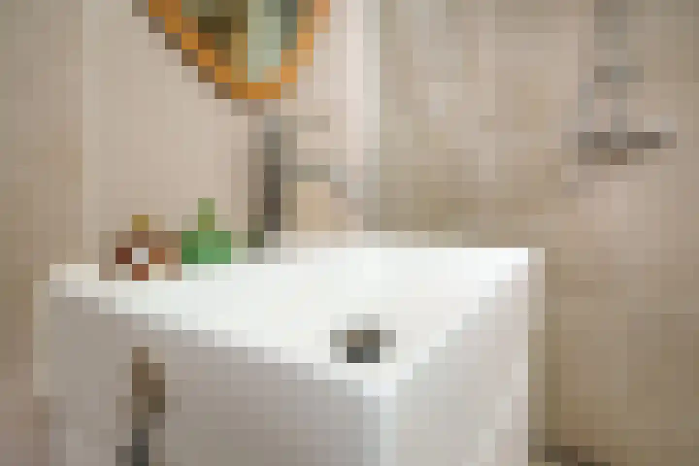 Watergeusstraat 4 B 01 Rotterdam thumbnail 22