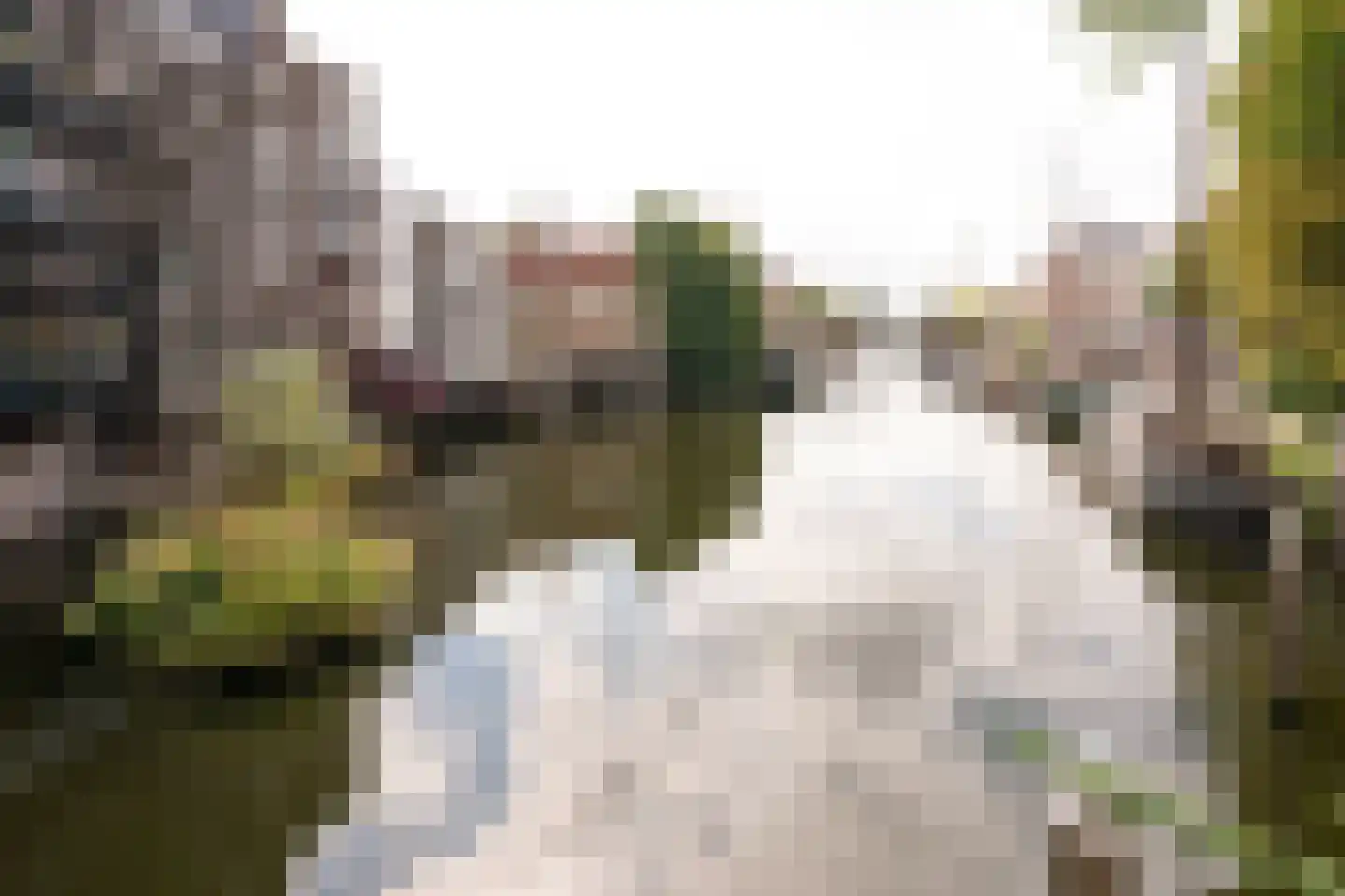 Watergeusstraat 4 B 01 Rotterdam thumbnail 27
