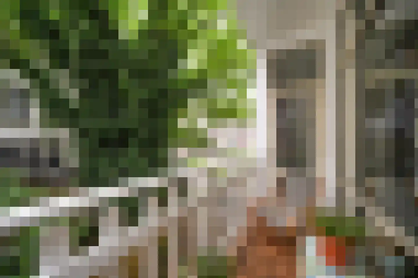 Watergeusstraat 4 B 01 Rotterdam thumbnail 4