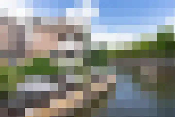 Watergeusstraat 4 B 02 Rotterdam thumbnail 21