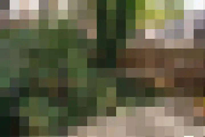 Watergeusstraat 4 B 02 Rotterdam thumbnail 4