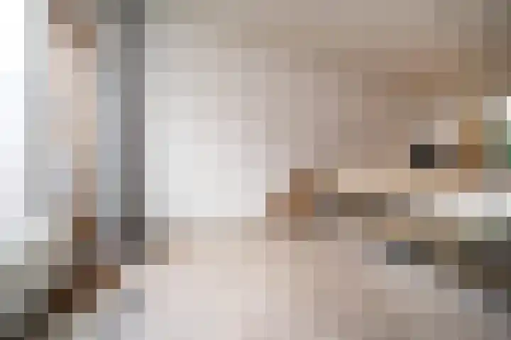Watergeusstraat 4 B 02 Rotterdam thumbnail 6