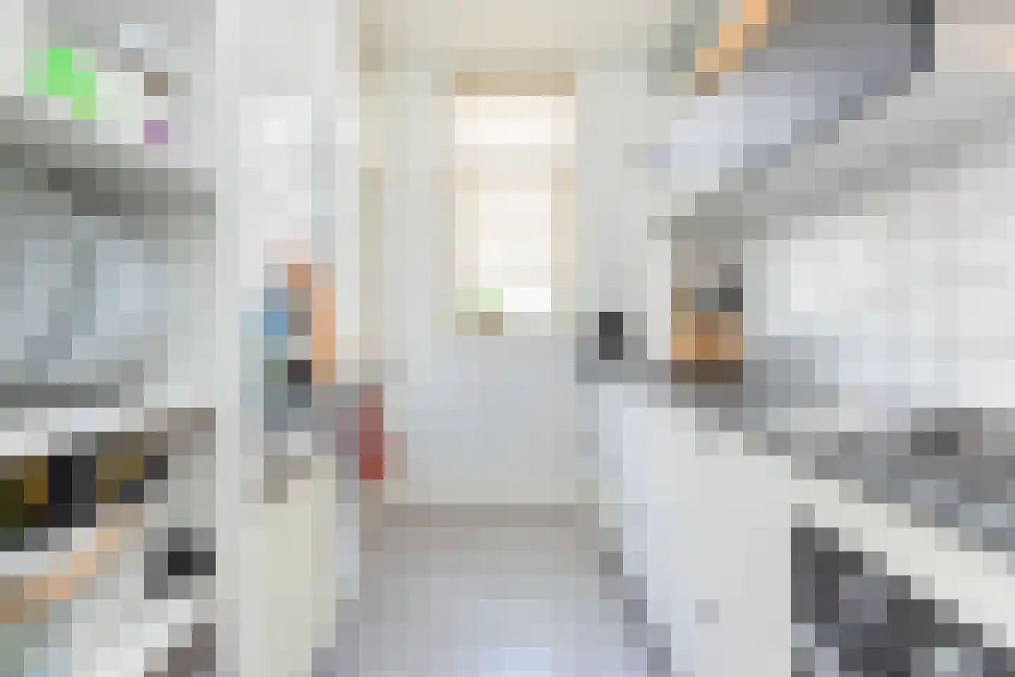 Watergeusstraat 43 A 01 Rotterdam thumbnail 9