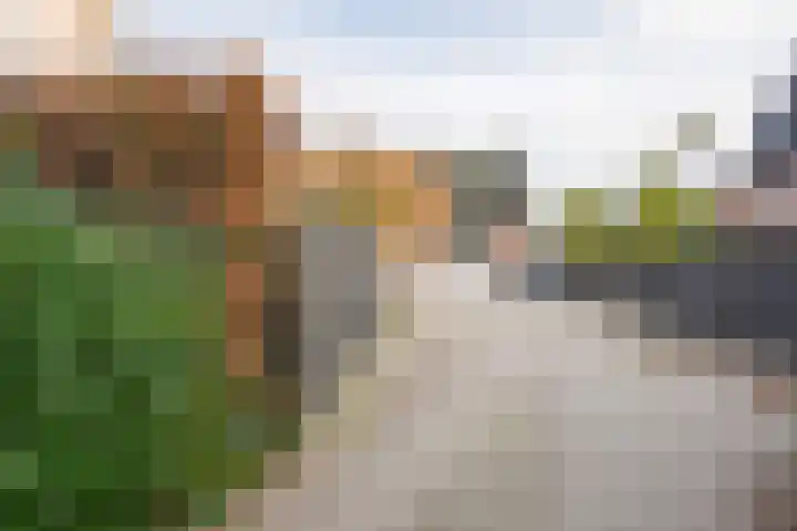 Watergoorweg 23 Nijkerk thumbnail 38