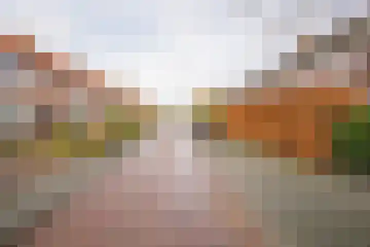 Watergoorweg 23 Nijkerk thumbnail 43