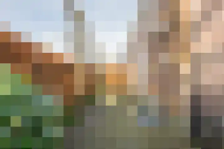Watergoorweg 23 Nijkerk thumbnail 6
