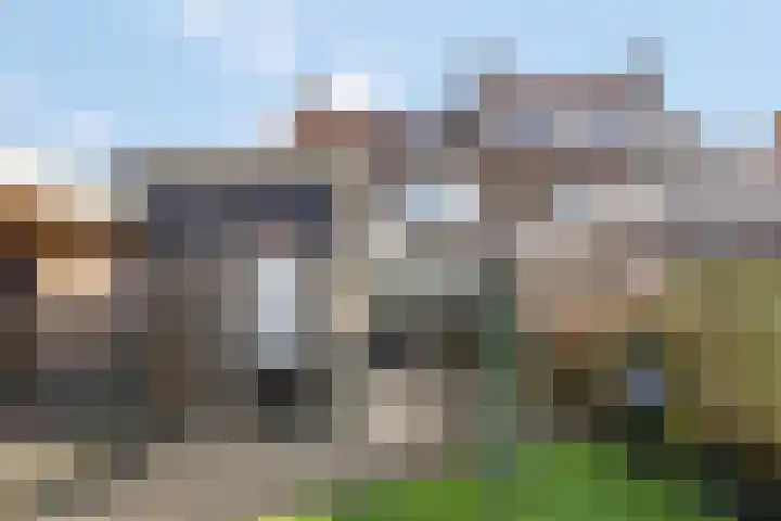 Watergoorweg 38 Nijkerk thumbnail 36