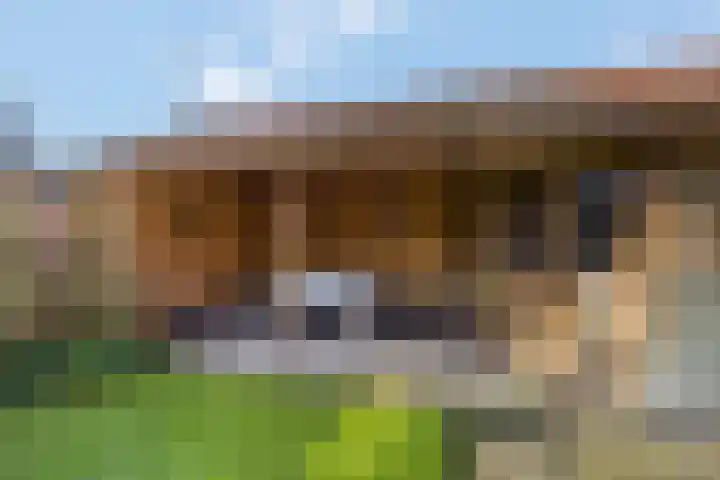Watergoorweg 38 Nijkerk thumbnail 42