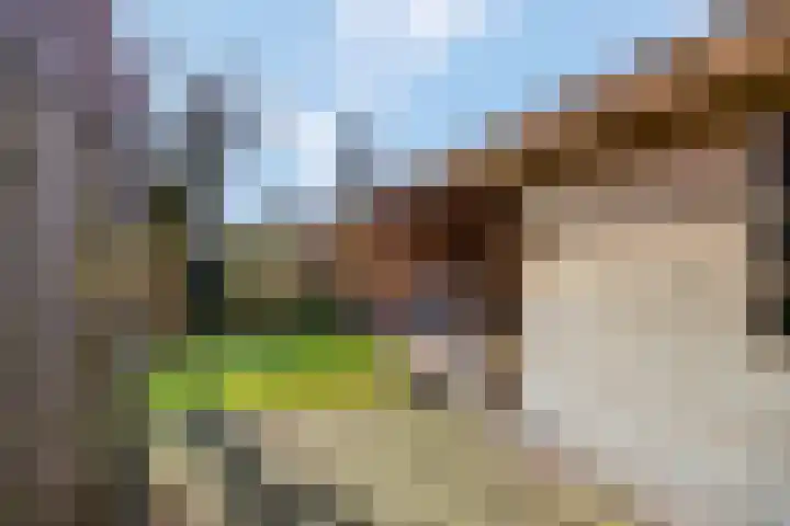 Watergoorweg 38 Nijkerk thumbnail 43