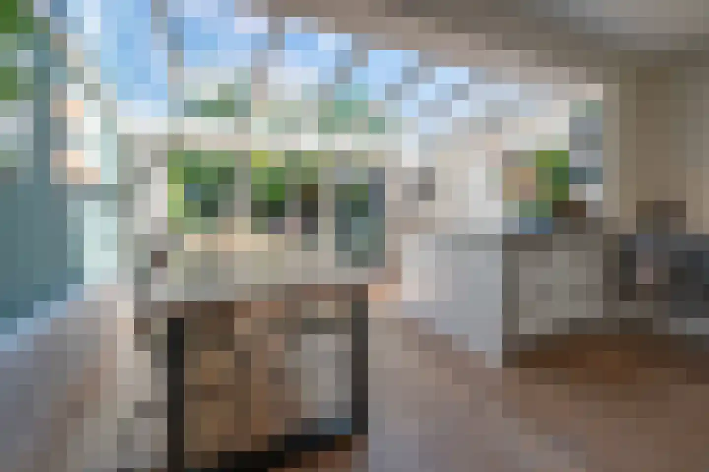 Watergraaflaan 36 Oudenbosch thumbnail 17