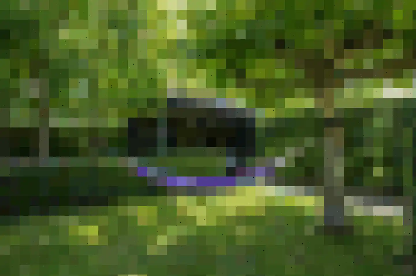 Watergraaflaan 36 Oudenbosch thumbnail 27