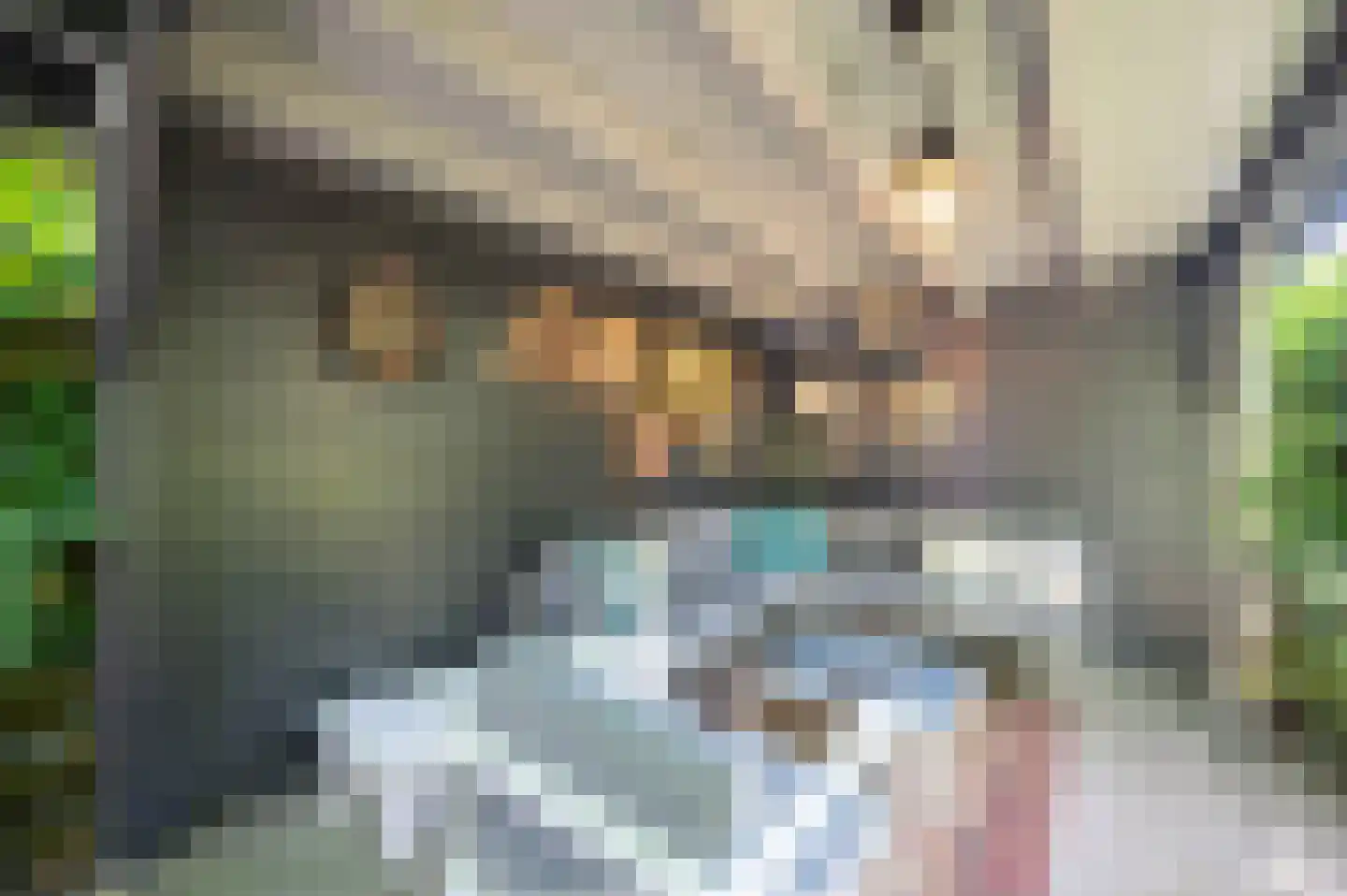 Watergraaflaan 36 Oudenbosch thumbnail 28