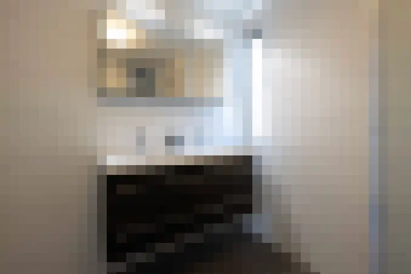 Watergraaflaan 36 Oudenbosch thumbnail 37