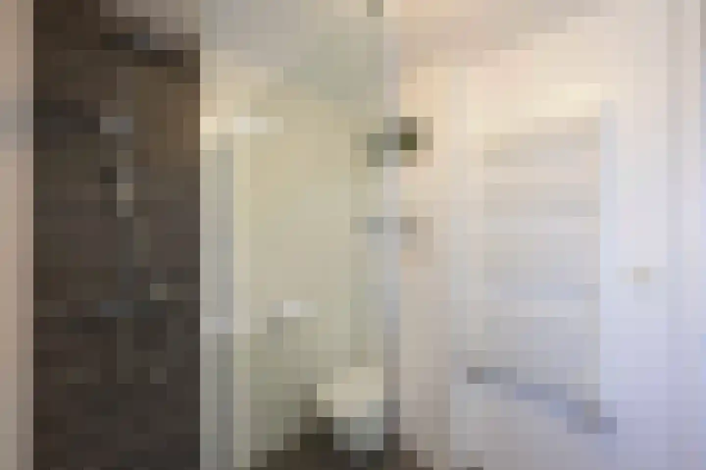 Watergraaflaan 36 Oudenbosch thumbnail 38