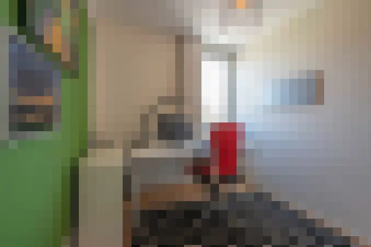 Watergraaflaan 36 Oudenbosch thumbnail 43