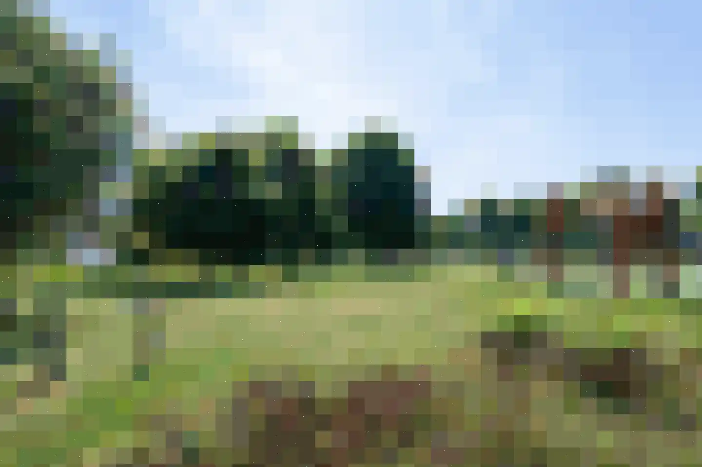 Watergraaflaan 36 Oudenbosch thumbnail 5