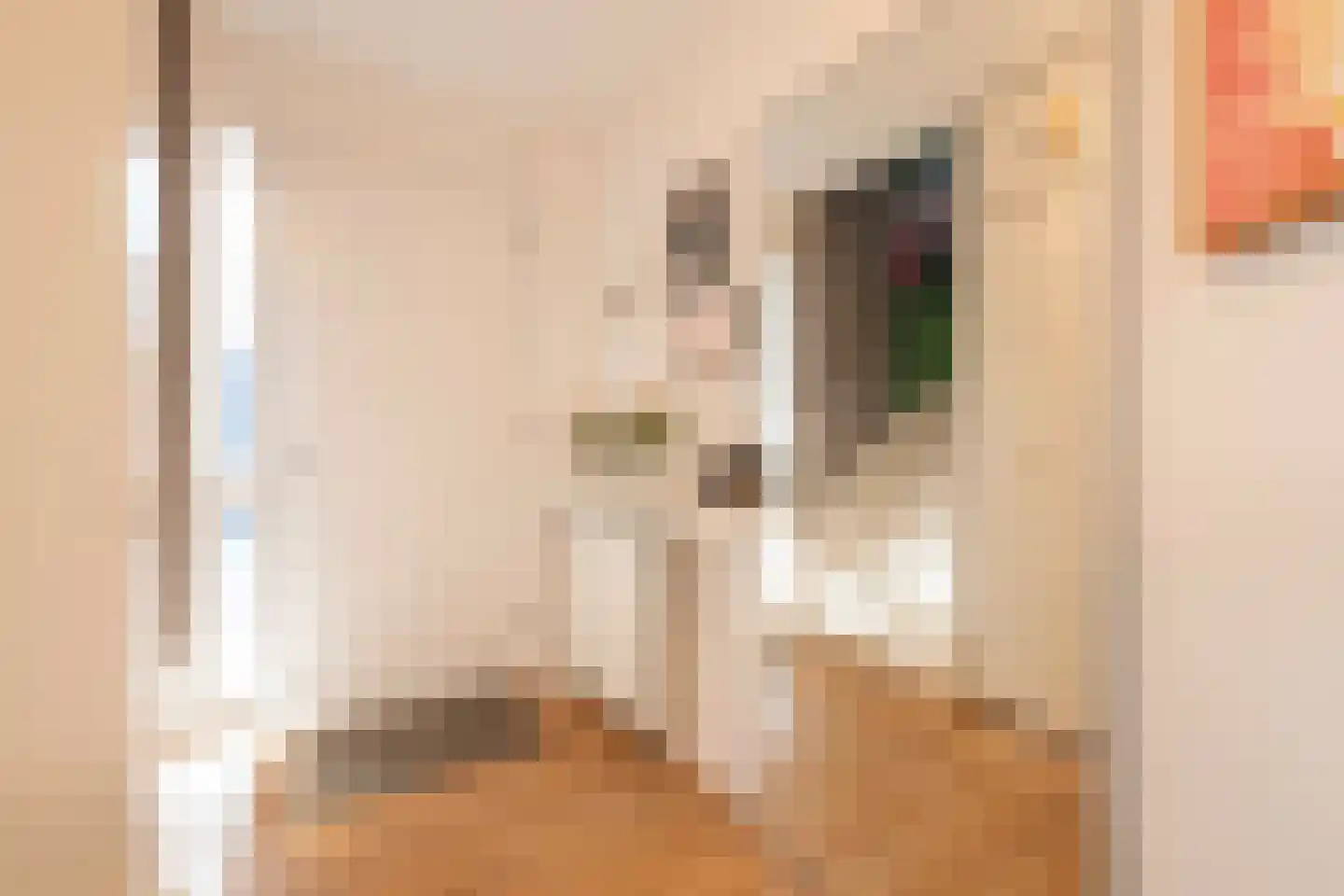 Watergraaflaan 36 Oudenbosch thumbnail 7