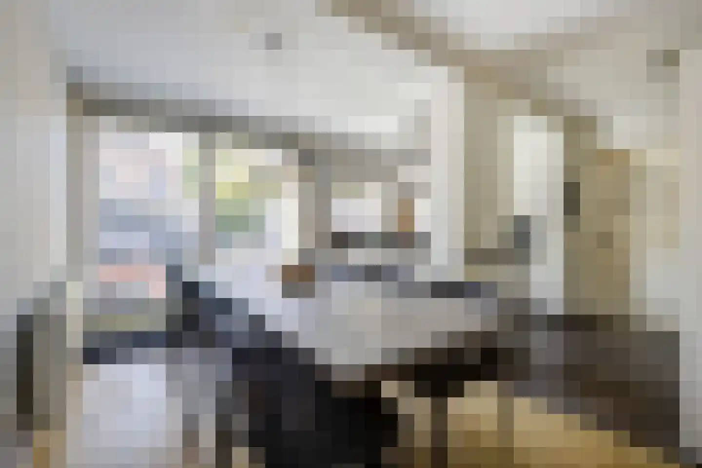 Watergraaflaan 41 Oudenbosch thumbnail 16