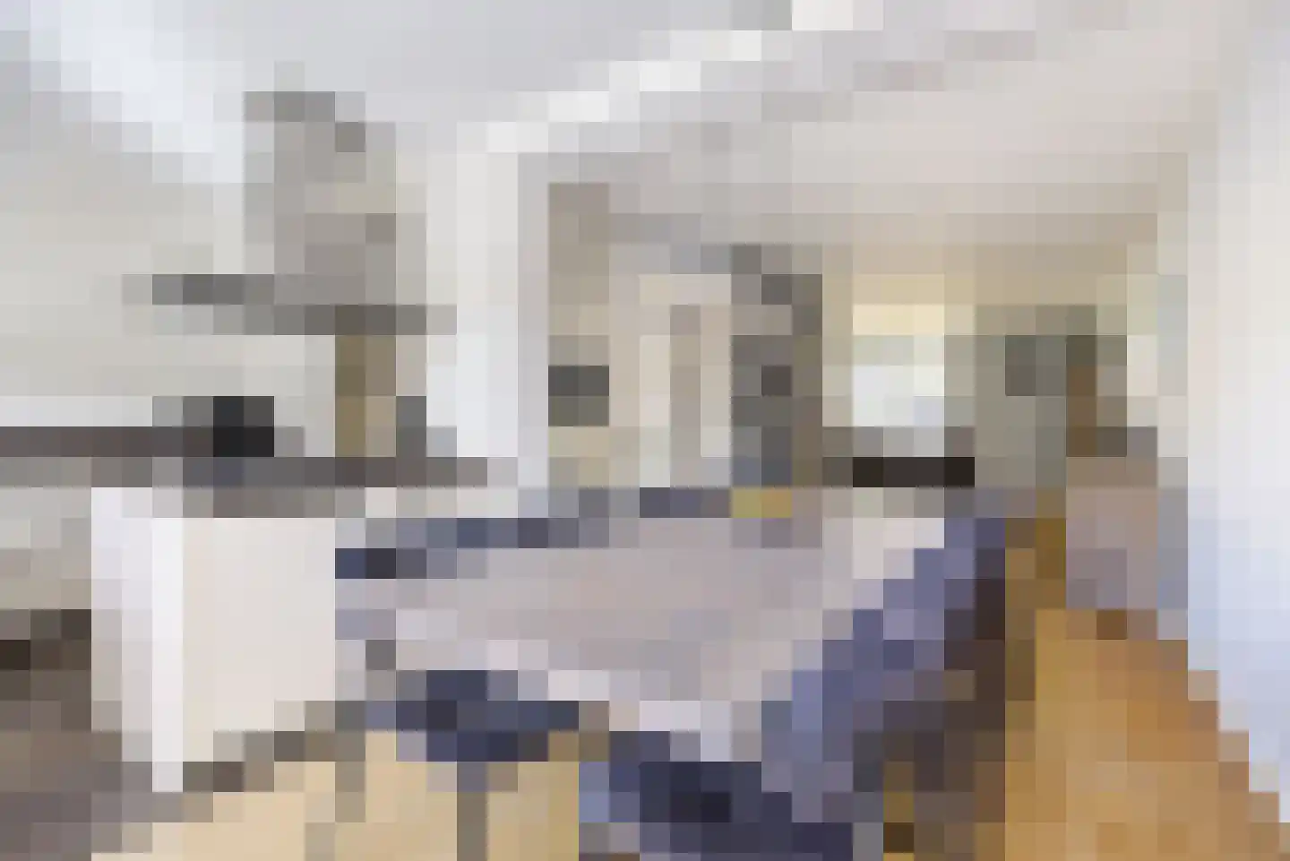 Watergraaflaan 41 Oudenbosch thumbnail 18