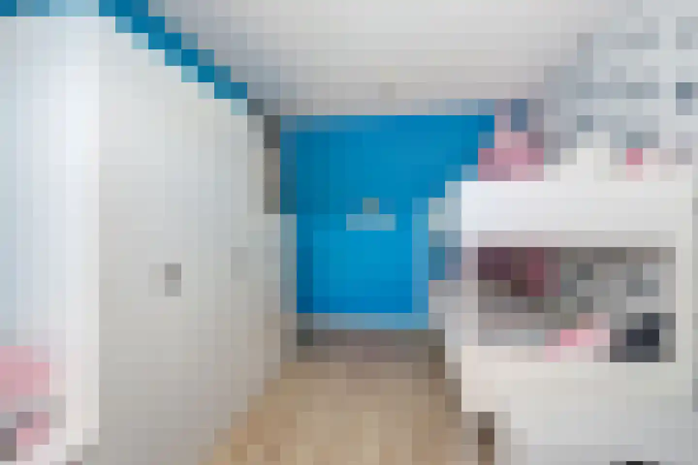 Watergraaflaan 41 Oudenbosch thumbnail 32