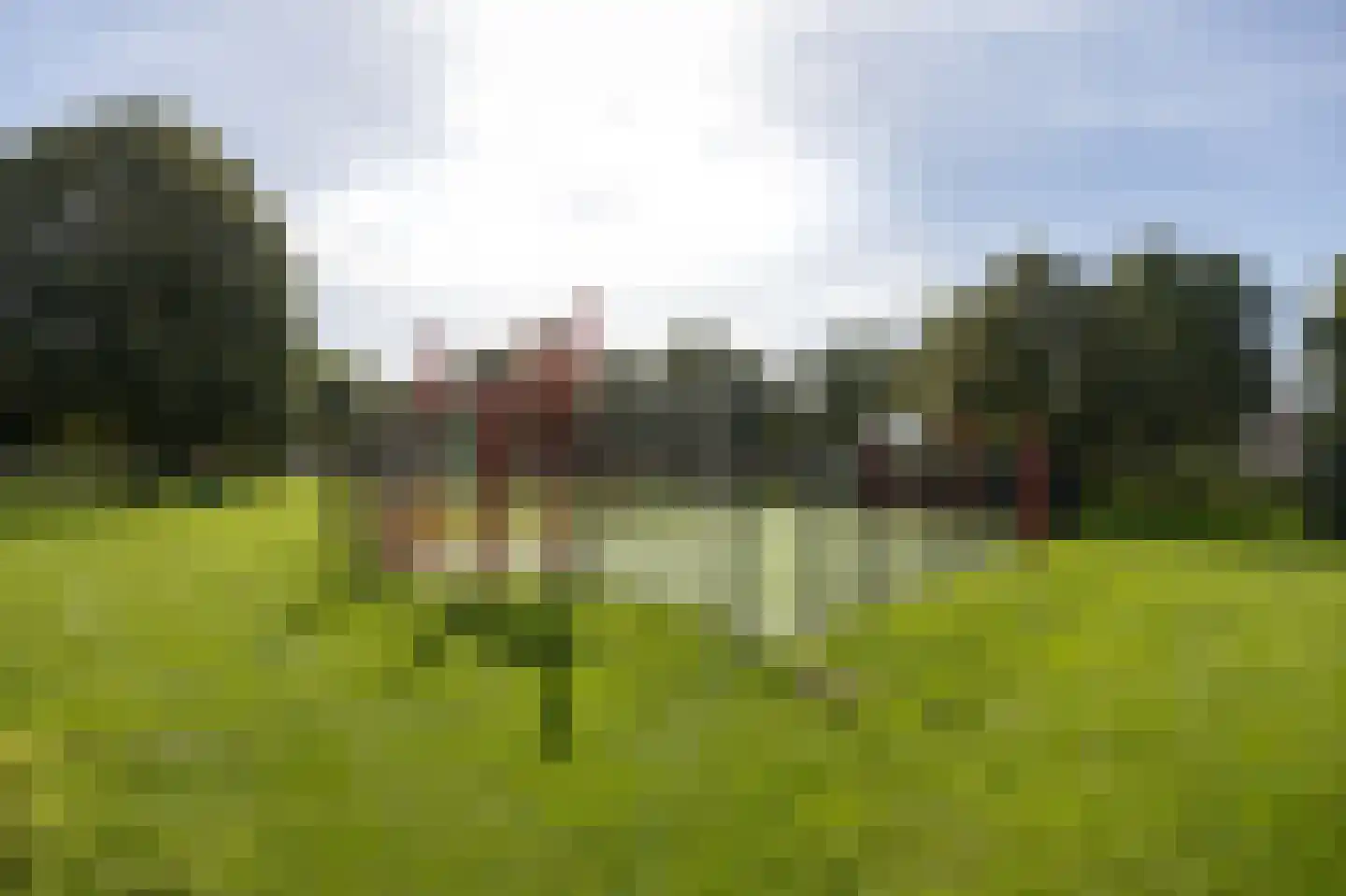 Watergraaflaan 41 Oudenbosch thumbnail 50