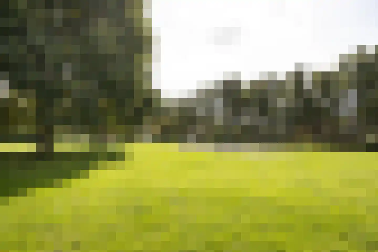 Watergraaflaan 41 Oudenbosch thumbnail 51