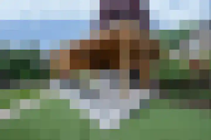 Watergraaflaan 43 Oudenbosch thumbnail 32