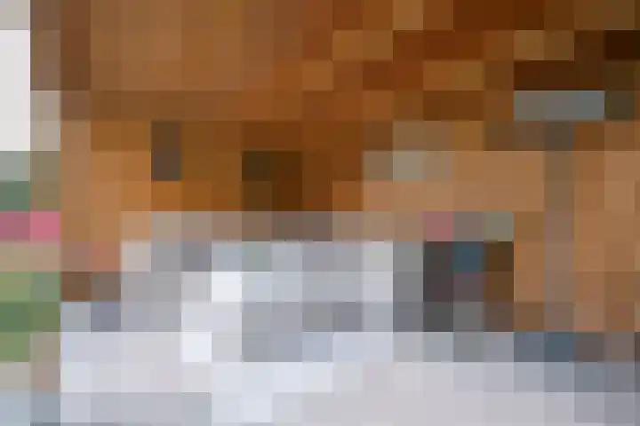 Watergraaflaan 43 Oudenbosch thumbnail 34